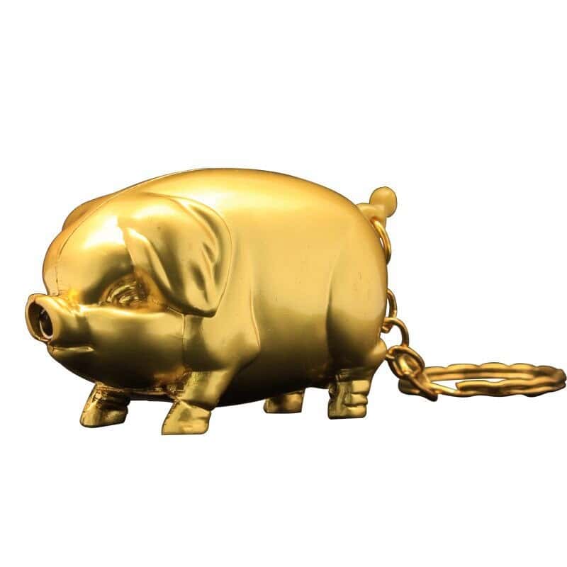 Unique Lighter Pig